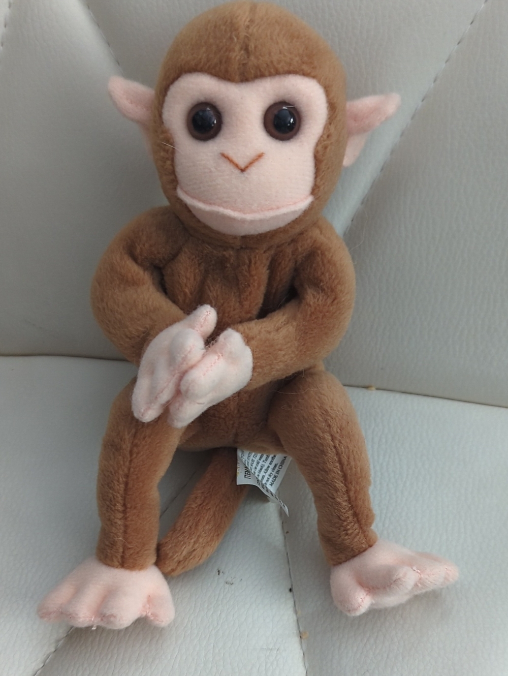 The 24K Company Monkey